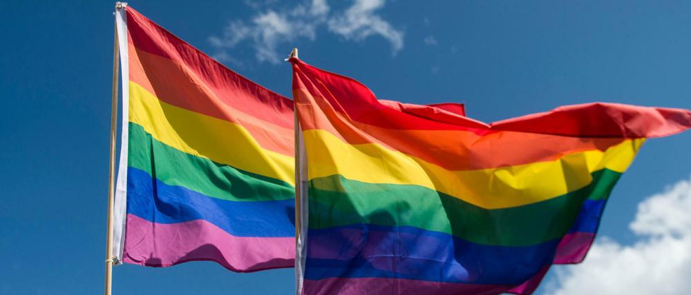 Die Regenbogenfahne, das Zeichen der homosexuellen Emanzipationsbewegung.
