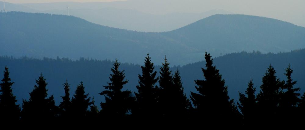 Hügel des mittleren Schwarzwaldes zeichnen sich im Naturschutzpark Nordschwarzwald blau in der Abenddämmerung vom Himmel ab. 