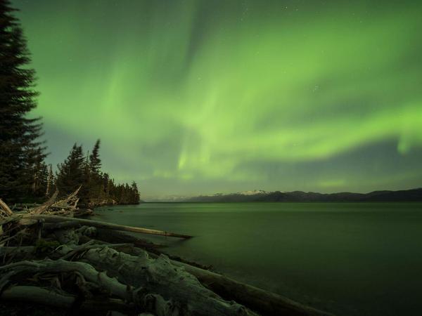 Davon träumen Bildgestalter: Polarlicht über dem Prinz-William-Sund in Alaska. 