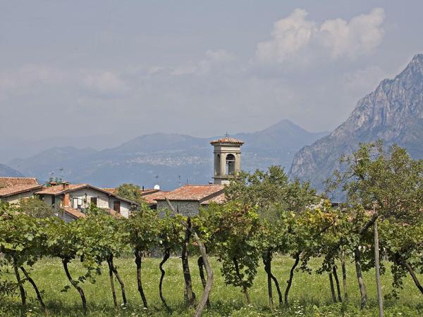 Lieblich ist die Landschaft mit ihren Weinstöcken und den kleinen Kirchen wie hier bei Olzano auf der Insel Monte Isola. 