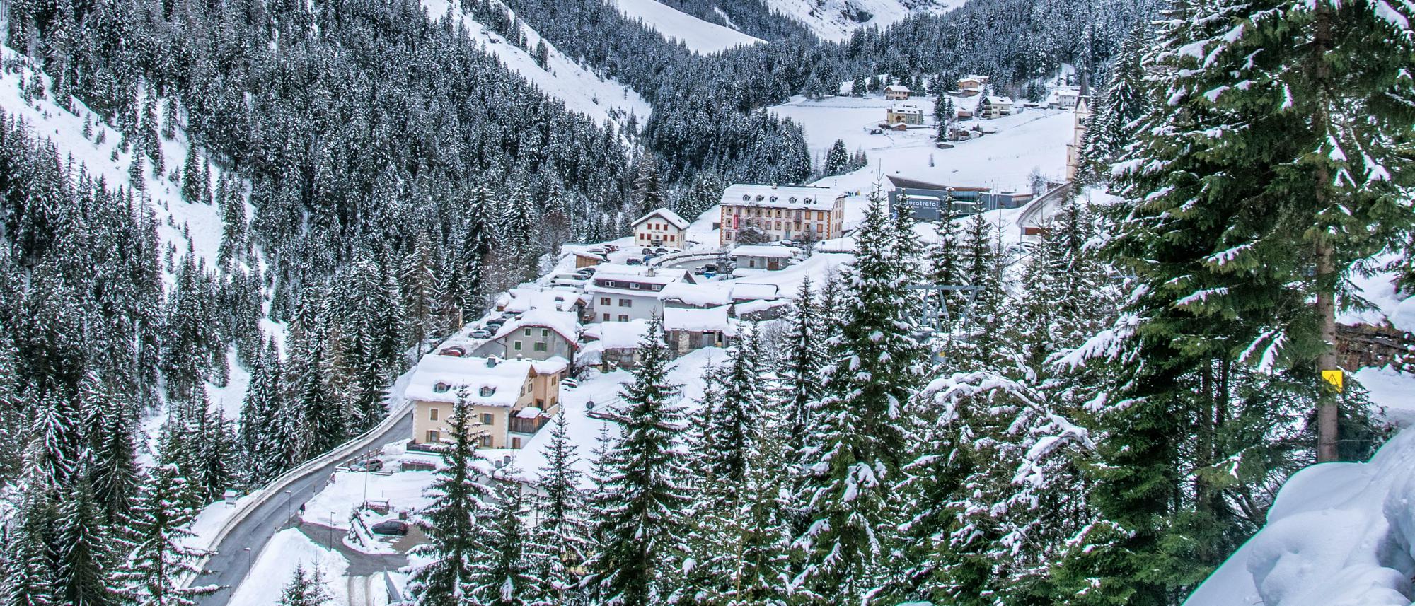 Wintersafari in Südtirol: Spuren sichern
