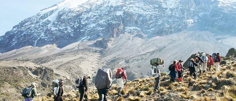 Schritt für Schritt zum Gipfel. Rund 1500 Träger arbeiten in der Hochsaison täglich am Kilimandscharo. Wer einen engagiert, sollte Sozialstandards sicher stellen. Foto: picture-alliance/dpa