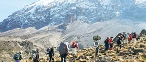 Schritt für Schritt zum Gipfel. Rund 1500 Träger arbeiten in der Hochsaison täglich am Kilimandscharo. Wer einen engagiert, sollte Sozialstandards sicher stellen. Foto: picture-alliance/dpa