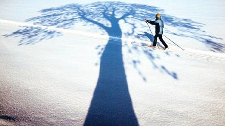 Lange Schatten im Allgäu. Bei Sonnenschein und frostigen Temperaturen gleitet die Langläuferin durch die Loipe. Foto: Karl-Josef Hildenbrand/ dpa