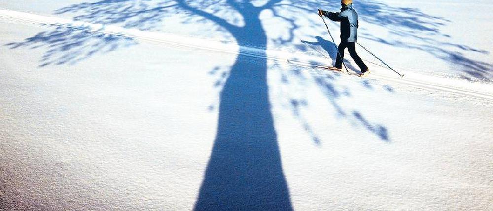Lange Schatten im Allgäu. Bei Sonnenschein und frostigen Temperaturen gleitet die Langläuferin durch die Loipe. Foto: Karl-Josef Hildenbrand/ dpa