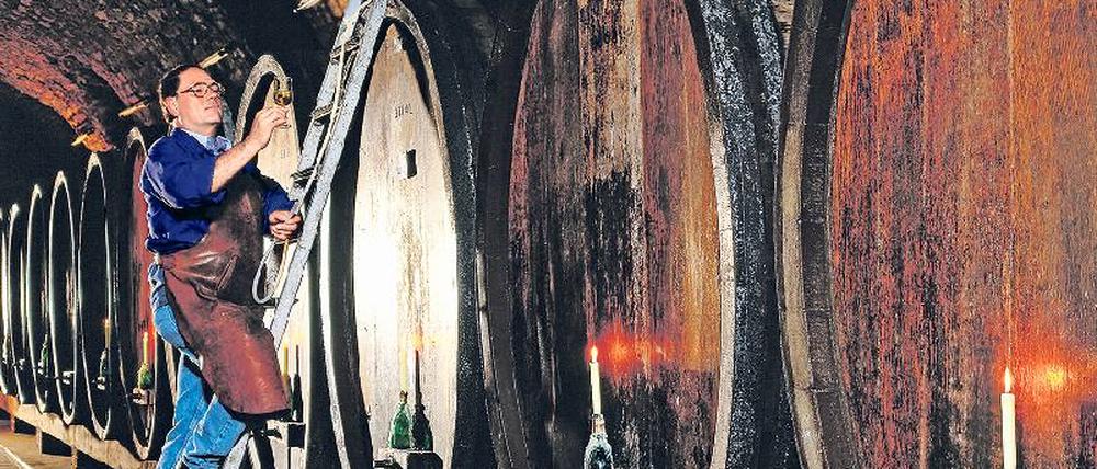 Reifeprüfung. Der Kellermeister hat gut zu tun. 650 000 Liter Wein lagern hinter meterdicken Mauern. Foto: picture-alliance/Bildagentur Huber
