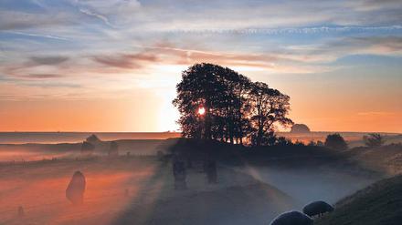 Nahezu gespenstisch – Sonnenaufgang im Nebel über dem Avebury Stone Circle, einem der größten frühzeitlichen Steinkreise in Europa. Foto: vario-images