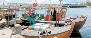 Einige Fischer fahren noch jeden Morgen von Ummanz auf die Ostsee.