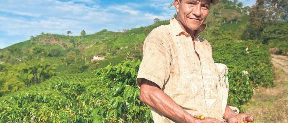 Arbeit im Grünen. Kaffeepflücker ernten den ganzen Tag an frischer Luft. Viel verdienen sie dabei nicht. Foto: mauritius images