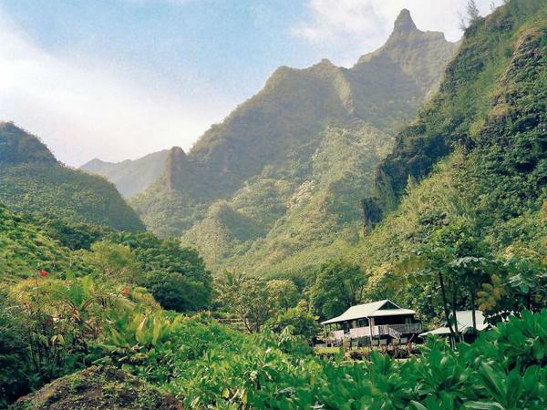 Manche Gäste zieht es in grüne Höhen, wie auf Kauai.