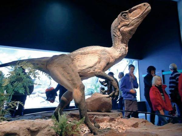 Dinosaurier dürfen nicht fehlen in einer Ausstellung zur Evolution.