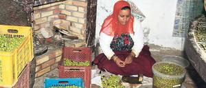 Alles Handarbeit. In Tunesiens erster Öko-Lodge in Dar Zaghouan südlich von Tunis werden unter anderem Oliven auf traditionelle Art verarbeitet. 