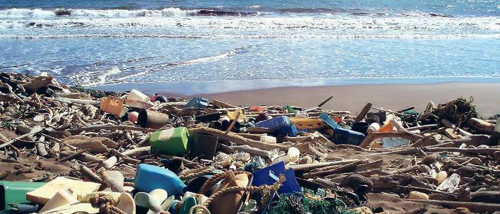 Strandgut der Zivilation. Die Weltmeere und ihre Bewohner ersticken zunehmend am Müll, der noch immer oft einfach über Bord geworfen wird. 