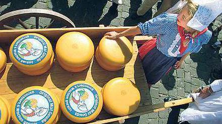 Laib für Laib. Der Käsemarkt im Mai ist Tradition in Gouda.
