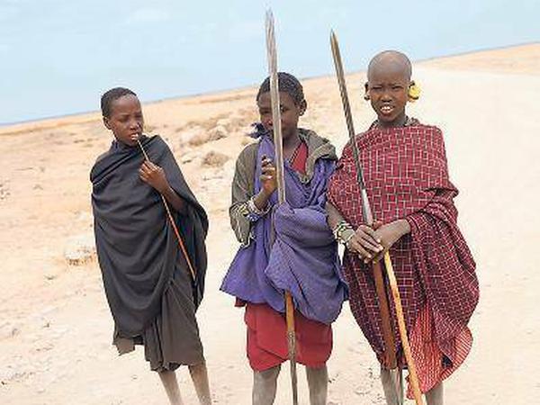 Treffen in der Serengeti. Massai-Jungs kümmern sich um das Familienvieh.