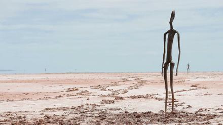 Scheinbar verloren in der Wüste. Doch der Schein trügt. Der Künstler Antony Gormley platzierte seine eigenwilligen Skulpturen durchaus planvoll in der weiten Ebene.