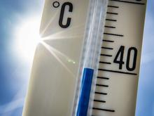 Gesundheitsrisiko Klimawandel: Knapp jeder Vierte stark durch Hitze bei der Arbeit belastet