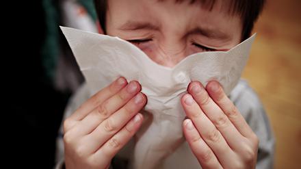 Ein kleiner Junge hält sich ein Taschentuch an die Nase. 