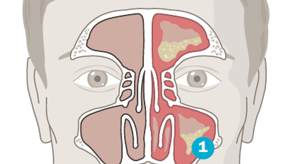 Arztbriefe: Diagnosen und Therapie