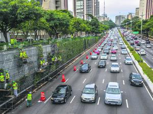  Durch die brasilianische Metropole fahren täglich fast 100.000 Fahrzeuge.