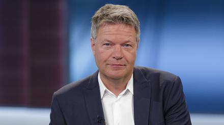 Bundeswirtschaftsminister Robert Habeck ist „nicht zufrieden mit der Bundesregierung“.