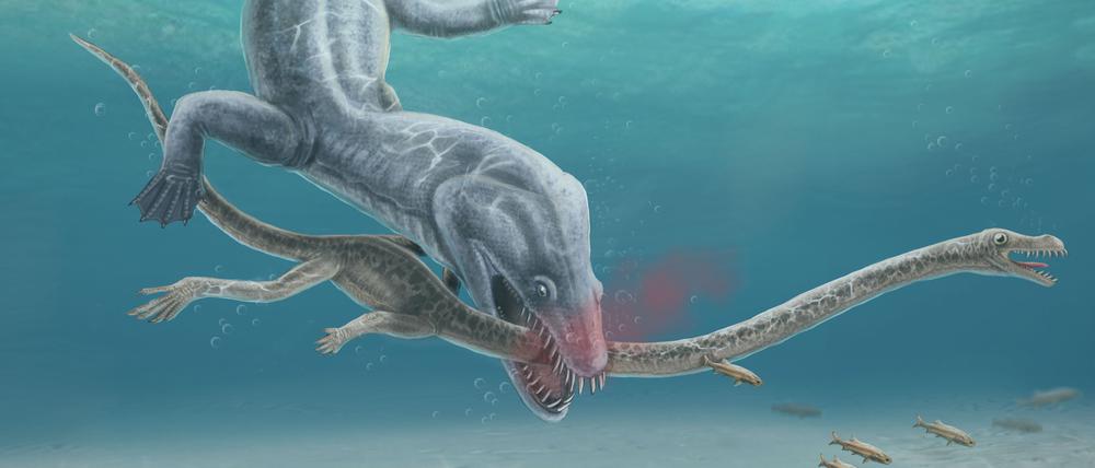 So könnte eine Jagdszene ausgesehen haben, bei der ein Tier der Art Tanystropheus hydroides erbeutet wurde.
