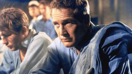 Paul Newman litt am Hochstapler-Syndrom. 