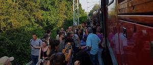 Passagiere steigen auf offener Strecke in der Nähe des FEZ aus dem liegengebliebenen Regionalexpress 2 aus.