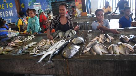 Die Themen Klima, Ernährung, Gesundheit und soziale Sicherheit sind in Papua-Neuguinea sehr gefragt.