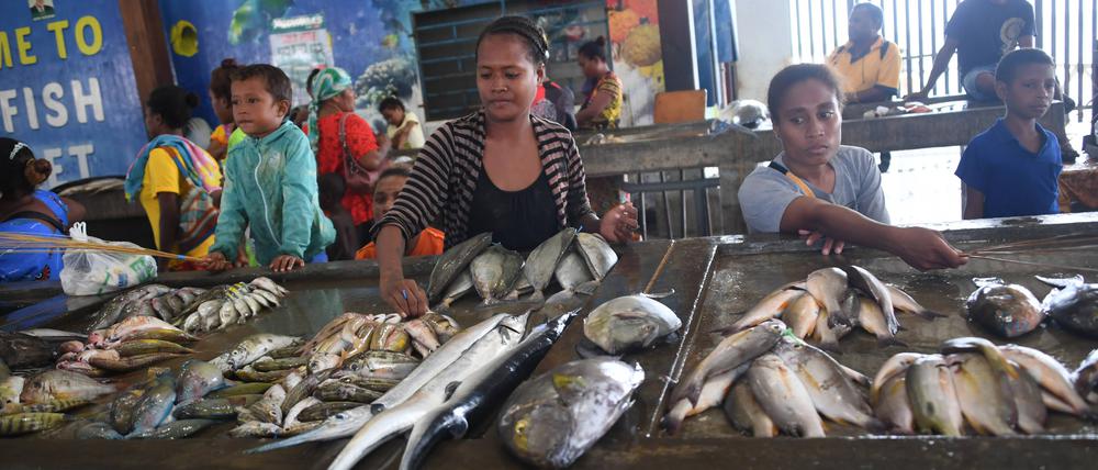 Die Themen Klima, Ernährung, Gesundheit und soziale Sicherheit sind in Papua-Neuguinea sehr gefragt.