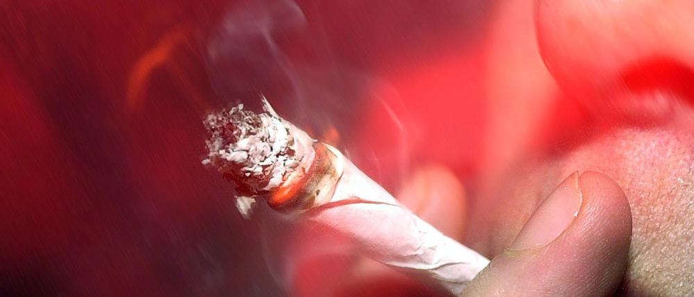 Regelmäßiger Cannabiskonsum kann offenbar die Fähigkeit zur Empathie steigern. Konsumenten zeigen demnach ein besseres emotionales Verständnis und können die Gefühle ihrer Mitmenschen besser wahrnehmen.
