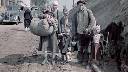 Smolensk im August 1941: Die Fotos des Wehrmachtsarztes Albert Dieckmann dokumentieren das Leid in der Sowjetunion. 