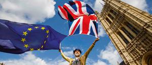 56 Prozent der befragten Briten finden, dass der Austritt Großbritanniens aus der EU falsch war.