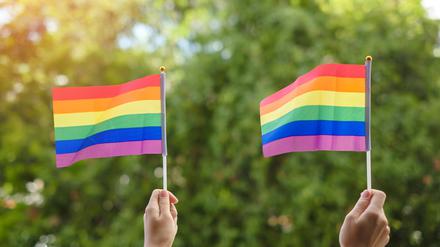 Zwei Pride-Flaggen.