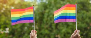 Zwei Pride-Flaggen.