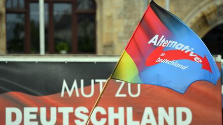 Eine Fahne mit dem Parteilogo der AfD weht während einer Kundgebung der AfD Sachsen-Anhalt auf dem Marktplatz.