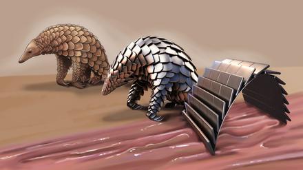 Das mittlere Terminator-Schuppentier war nur ein gedanklicher Zwischenschritt zwischen Pangolin und Medizinroboter.