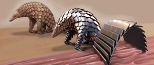Das mittlere Terminator-Schuppentier war nur ein gedanklicher Zwischenschritt zwischen Pangolin und Medizinroboter.