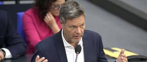 Wirtschaftsminister Robert Habeck