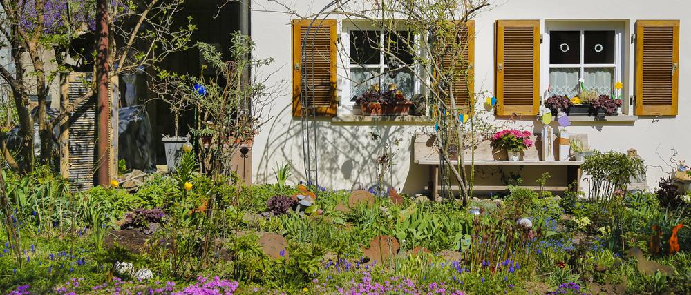 Einfach einladend: ein schön bepflanzter Vorgarten 