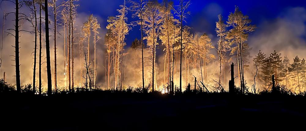Ein Waldbrand bei Jüterbog südlich von Berlin.