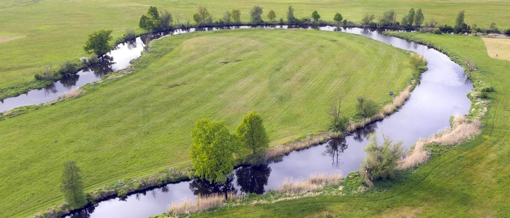 Die Spree in Mönchwinkel bei Grünheide. Der Fluss könnte laut einer Studie künftig in trockenen Sommermonaten örtlich bis zu 75 Prozent weniger Wasser führen.