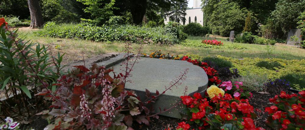 Auf dem Grabschmuck. Nach den Vandalismus-Schäden auf dem Neuen Friedhof ermittelt nun die Polizei. 