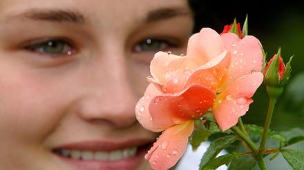 Schön. Auch die Rose „Marie Curie“ steckt voller toller Mutationen. 