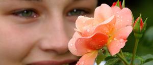 Schön. Auch die Rose „Marie Curie“ steckt voller toller Mutationen. 