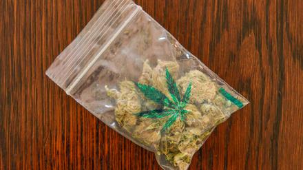 Cannabis, Droge, Blueten *** Cannabis drug flowers  