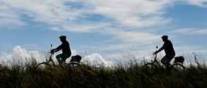 Fahrradfahrer sind auf dem Oder-Neiße-Radweg, der sich im Oderbruch auf dem Deich am deutsch-polnischen Grenzfluss Oder nahe Reitwein befindet, unterwegs.