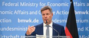Das Ministerium unter Robert Habeck (Grüne) will zeitnah Pläne für ein Wasserstoffkernnetz vorstellen.