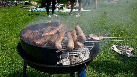 Parkbesucher haben sich bei angenehmen Temperaturen und Sonnenschein zum Grillen auf einer Wiese am Aachener Weiher eingefunden.