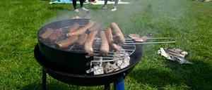 Parkbesucher haben sich bei angenehmen Temperaturen und Sonnenschein zum Grillen auf einer Wiese am Aachener Weiher eingefunden.